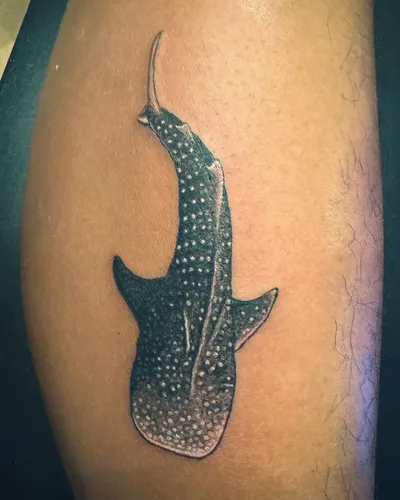 Whale Shark Tattoo
