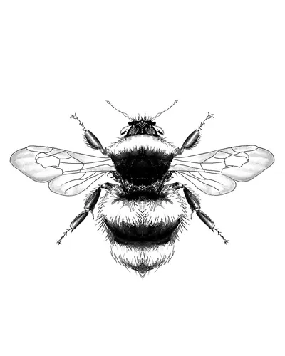 Bumble Bee Tattoo